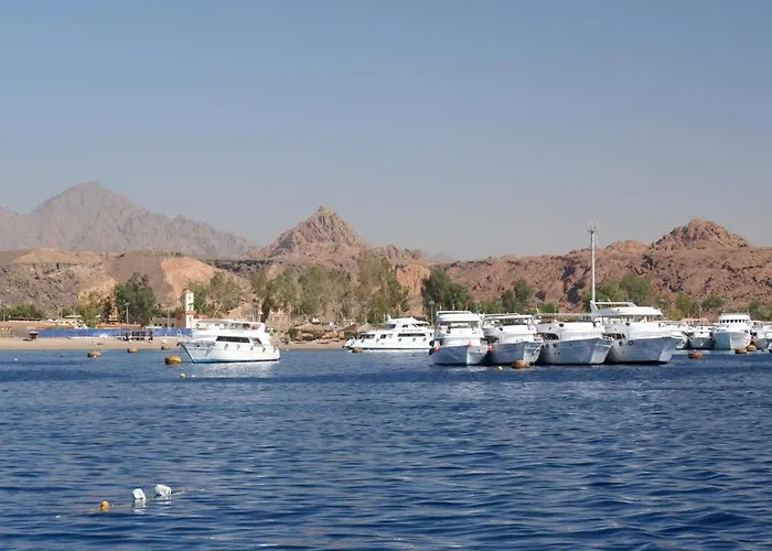 Sinai Gate Backpackers - Sheikh * Sharm el Sheikh